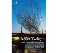 Belfast Twilight