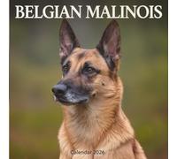 Belgian Malinois Calendar 2026: A Year of Grace, Intelligence, and Natural Elegance