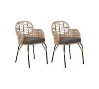 Beliani 2 Chaises de Jardin avec Coussins Gris en Polyrotin Naturel Tressé Pratello