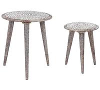 Beliani Lot de 2 Tables d'Appoint Blanc Cassé en Bois de Manguier Motif de Fleurs Barju