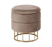 Beliani Pouf Coffre de Rangement en Velours Rose et Structure en Acier Doré Idéal pour Chambre ou Salon au Design Glamour Tendance