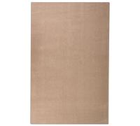 Beliani Tapis Moderne en Polyester à Poils Longs 200 x 300 cm Tufté à la Machine Forme Rectangulaire Beige Sable Demre
