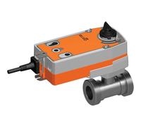 Belimo Vanne De Régulation G2-1/4 Kvs16 24VAC/DC Cas De Défaillance 75s 2-Point 10Nm IP54 SPDT R438/NRF24A-S2