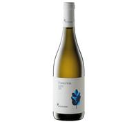 Belisario Passerina 2019