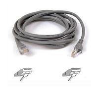 Belkin A3L791b02M-S Cordon Raccordement (Personal Computer)