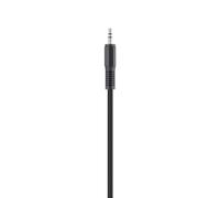 Belkin Câble audio Jack 3,5 mm F3Y111BF1M-P M/M 1 m Noir