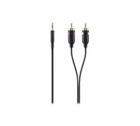 Belkin - Câble audio - RCA x 2 mâle pour mini-phone stereo 3.5 mm mâle - 5 m - double blindage