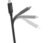 Belkin, Câble USB-C / USB-C 4.0 240W charge rapide & synchronisation 2m, noir