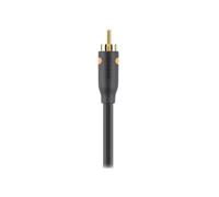 Belkin Essential Series Digital Coaxial Cable - Câble audio numérique (coaxial) - RCA mâle pour RCA mâle - 1 m