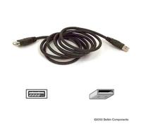 Belkin USB Extension Cable 1.8m câble USB 1,8 m Noir