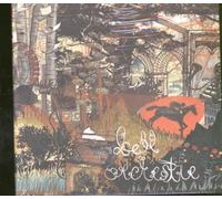 Bell Orchestre – Recording a Tape The Colour of the Light – CD – Import