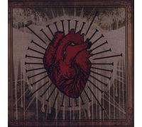 Bella Morte - Beautiful Death