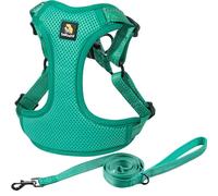 BELLA & PAL Ensemble harnais et laisse pour chien - Harnais réglable pour chiot - Gilet anti-traction pour chiens de taille XS/S/M - Maille respirante - Bande réfléchissante, crochet et boucle