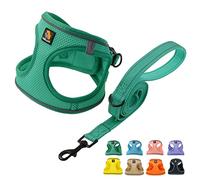 BELLA & PAL Ensemble harnais et laisse pour chien, harnais Step-in pour chiot, maille respirante avec bandes réfléchissantes, gilet anti-traction, pour chiots, chiens de très petite taille, vert, XXS