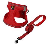 BELLA & PAL Ensemble harnais et laisse pour chien, harnais Step-in pour chiot, maille respirante avec bandes réfléchissantes, gilet anti-traction, pour chiots, chiens de très petite taille, rouge, M