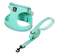 BELLA & PAL Ensemble harnais et laisse pour chien, harnais Step-in pour chiot, maille respirante avec bandes réfléchissantes, gilet anti-traction, pour chiots, chiens de très petite taille, menthe