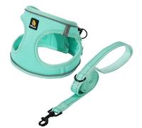 BELLA & PAL Ensemble harnais et laisse pour chiot - Harnais anti-traction pour petit chien - Harnais à enfiler et laisse pour chien de petite taille - Taille L - Vert pâle