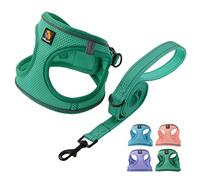 BELLA & PAL Ensemble harnais pour chien avec laisse pour petit émeraude, anti-traction, design marchepied, réfléchissant, maille légère, taille S