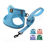 BELLA & PAL Step in Vest Harnais pour chiens de petite et moyenne taille, harnais confortable en maille respirante avec bande réfléchissante (bleu ciel, S)