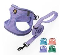 BELLA & PAL Step in Vest Harnais pour chiens de petite et moyenne taille, harnais confortable en maille respirante avec bande réfléchissante (lavande, taille XXS)