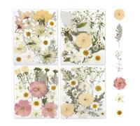 BellaBlend Lot de 80 fleurs séchées pour l'artisanat, véritables fleurs pressées naturellement séchées dans des tons jaunes, blancs, roses doux pour résine, bricolage, bijoux, bougies et savons pinces
