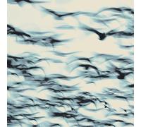 Bellbird – The Call – Vinyle 180gr