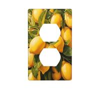 Belle Abondant Lemons Couvercle d'interrupteur décoratif 1 gang Plaque murale pour cuisine salle de bain Taille 7 x 11,4 cm