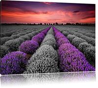 Belle champ de lavande en Provence noir / blanc Taille: 80x60 sur toile, énorme XXL Photos complètement encadrée avec civière, art impression sur murale avec cadre, moins cher que la peinture ou la peinture à l'huile, aucune affiche ou un poster