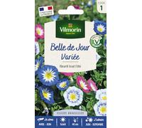 Belle de Jour Variée