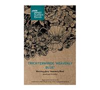 Belle de nuit 'Heavenly Blue' (Ipomoea tricolor) env. 50 semences