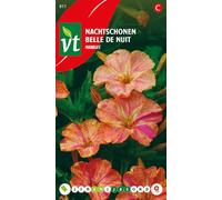 Belle de nuit Marbles Graines - Belles fleurs panachées