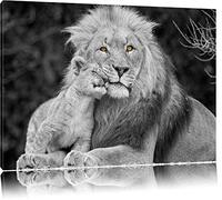 Belle Lion avec ourson noir / blanc sur toile, énorme XXL photos complètement encadrée avec civière, impression d'art sur ??la photo murale avec cadre, moins cher que la peinture ou une peinture à l'huile, pas une affiche ou une bannière