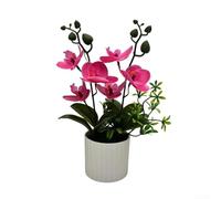 Belle orchidée phalaenopsis artificielle pour une utilisation en intérieur, ajoute de l'élégance à différents paramètres (violet)