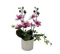 Belle orchidée phalaenopsis artificielle pour une utilisation en intérieur, ajoute de l'élégance à différents paramètres (violet et blanc)
