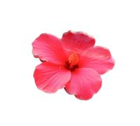 Belle pince à cheveux en forme de fleur artificielle avec une forte prise en main - Convient pour différents types de cheveux - Accessoire élégant