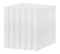 Belle Vous Bloc Mousse Artisanat (Lot de 6) - 30 x 15 x 2,5 cm - Plaque de Mousse Rectangulaire en Polystyrène pour le Modelage, les Projets Scolaires, Manuels, les Sculptures et Arrangements Floraux