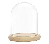 BELLE VOUS Cloche en Verre avec Socle en Bois Naturel - 16,2 cm de Haut - Mini Cloche en Verre Transparent pour Lumières, Plantes, Décoration de Table