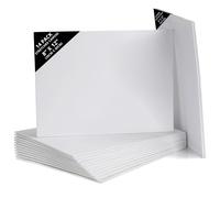 Belle Vous Lot de 14 Toile a Peindre - 20 x 30 cm - Toile Vierge Pré-Étirée - Idéales pour la Peinture à l’Huile, Acrylique et pour le Dessin et le Croquis