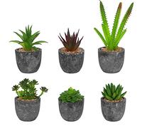 BELLE VOUS Mini Plante Artificielle Interieur Succulente en Pot Gris (6 Pièces) - Fausse Plante Cactus & Succulentes - pour Maison, Bureau, Table et Salle de Bains