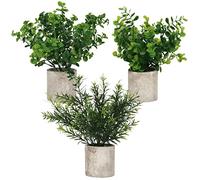 BELLE VOUS Mini Plantes d’Eucalyptus Artificiel en Pot (Lot de 3) - Petites Fausses Plantes en Plastique en Pots - Plantes Artificielles Interieur pour Bureau, Maison, Cuisine, Table et Salle de Bain