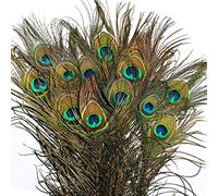 Belle Vous Plumes de Paon Naturelles (Lot de 20) - 78-80 cm - Plume Paon à Longue Queue pour Mariage, Fête, Vacances, Décoration Intérieure et Artisanat