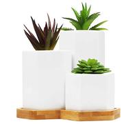 BELLE VOUS Pots De Fleurs pour Succulentes en Céramique Blanche avec Plateau en Bambou (Lot de 3) - 3 Tailles Petit, Grand, Moyen avec Trous de Drainage - Pot de Fleur Interieur, Exterieur et Bureau