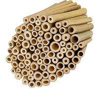 Belle Vous Tuteur Bambou Naturel (Lot de 100) - L10 x l0,9 cm - Remplissage Hôtel à Insectes, Hôtel à Abeilles Sauvages Solide & Durable - Tuteur Tomate, Tuteur Plante de Jardin & Artisanat