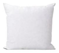BELLECOUR LITERIE - Oreiller 60x60 cm CHAMBORD - Duvet & Plumes Blanc G
