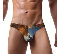 Belles culottes bikini sexy pour homme Tour Eiffel Paris, Noir , 3XL