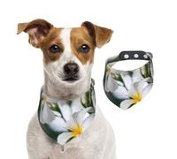 Belles Fleurs de frangipanier Blanc Wake Plumeria,Bandanas pour Chien, écharpe en Coton, Bavoirs réglables pour Animaux de Compagnie,M