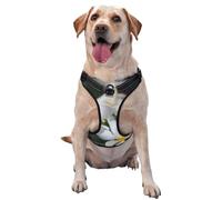 Belles Fleurs de frangipanier Blanc Wake Plumeria,Harnais pour Animaux de Compagnie, Harnais réfléchissant réglable pour Chien,XL