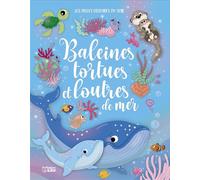 Belles hist soir tortues balei - Kathie Fagundez - Lito - cartonné - Contes et légendes jeunesse