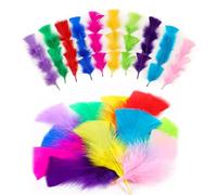 BelleVive Lot de 300 plumes de dinde colorées pour bricolage - Plumes colorées pour travaux manuels à la maternelle, décorations de mariage, décoration de maison et de fête - Accessoire attrape-rêves