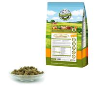 Bellfor Sans Céréales Naturel Sec Nourriture Pour Adulte Chien Avec Poulet 6,0kg